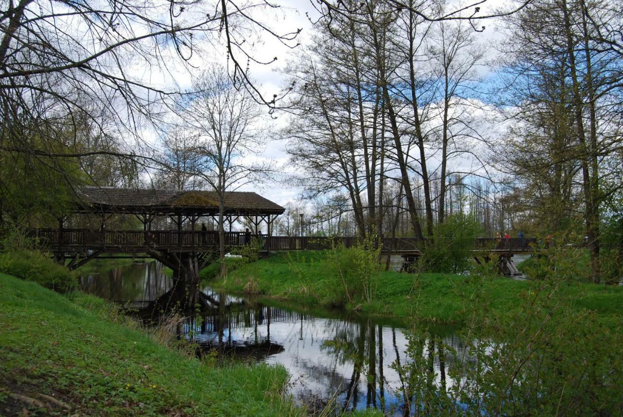 Kamienna ZagrodaBiałowieża エクステリア 写真
